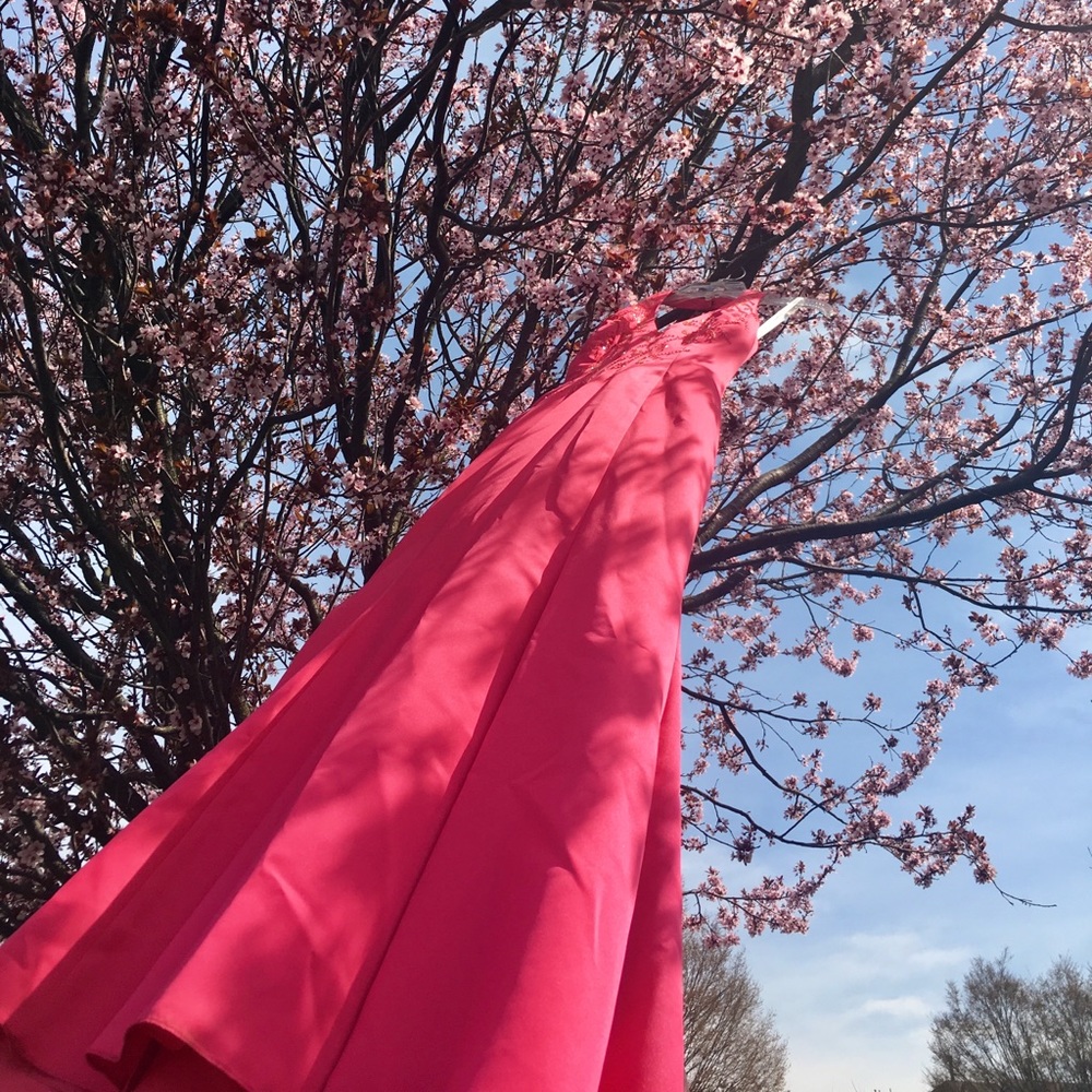 Pink Gown with Train